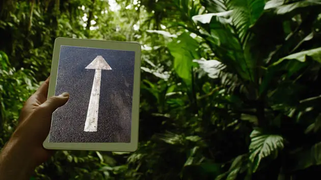 A hand holds a sign with an arrow, with a jungle in the background. The arrow points toward the jungle.